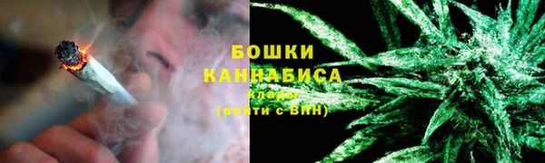стаф Инсар