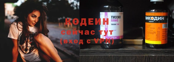 стаф Инсар