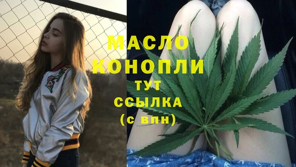 стаф Инсар