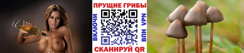 Псилоцибиновые грибы ЛСД Шиханы